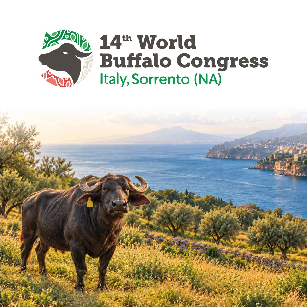 14th World Buffalo Congress